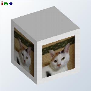 Cube.imo